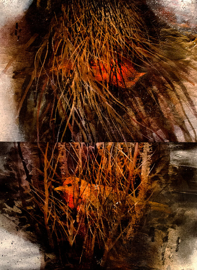 detail /